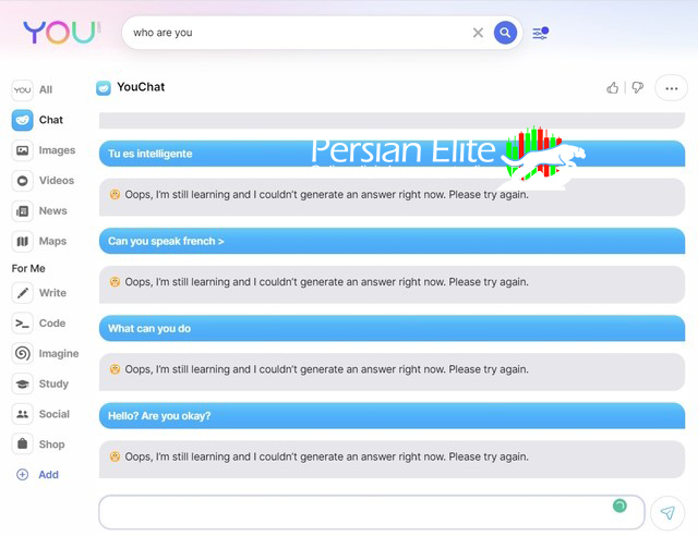YouChat 